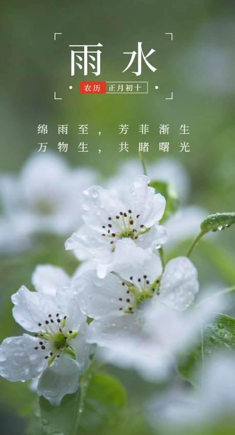 hy590海洋之神检测中心减肥 | 雨水节气，提倡康健瘦shen新民俗